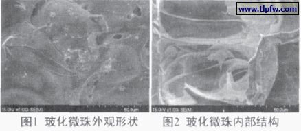 ?；⒅橥庥^形狀及內(nèi)部結(jié)構(gòu)